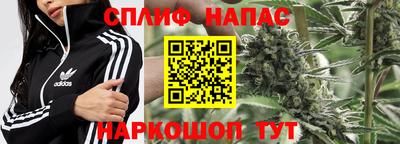 не бодяженный Камышлов