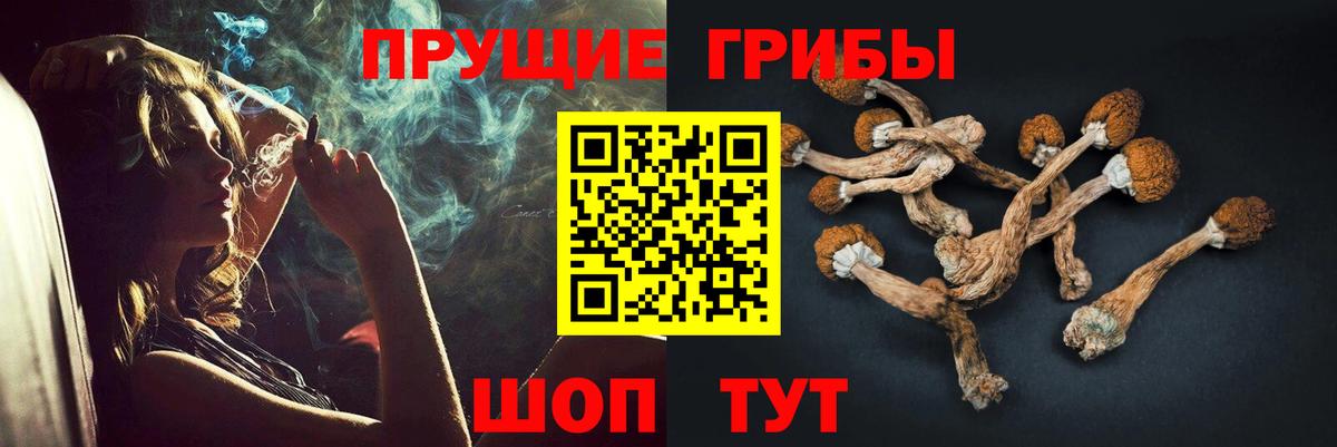 Галлюциногенные грибы MAGIC MUSHROOMS  Вход с VPN  Псилоцибиновые грибы мухоморы  наркотики  Кыштым 